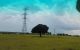 thum-7778292_I2bGUTX7sD_1617761721.jpg