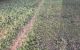 thum-m_WuRE1np6ZO_1617867633.jpg