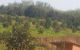 thum-m_gUyJjCSDGd_1617871786.jpg