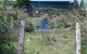 thum-7789215_seItop6gyH_1617932547.jpg