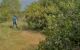 thum-7808405_J3lEFIWSC1_1618278922.jpg