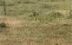 thum-7808405_rQjiyGVP0u_1618278889.jpg