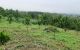 thum-7809332_VKHht8FYva_1618285656.jpg