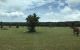 thum-7810451_afF4uTU8q3_1618299190.jpg