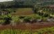 thum-7815168_1ZzybBfngL_1618375438.jpg