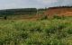 thum-7815168_JA2cterEl9_1618375431.jpg