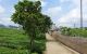 thum-7815683_o4LIwNXq0R_1618384348.jpg