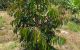 thum-m_snOR3q4K2g_1618441536.jpg