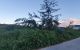 thum-7826650_46mPHBMuWq_1618556113.jpg