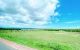 thum-m_D1OsRF7VH6_1618643686.jpg