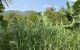 thum-m_vVxoOwaUre_1618672130.jpg