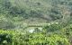 thum-7835973_4xt2hRqsLf_1618727844.jpg