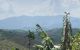 thum-7835973_gJP6xbmdQ7_1618727839.jpg