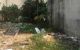 thum-m_edKHx829ph_1618715536.jpg