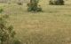 thum-7841260_59IWZmRBzF_1618884870.jpg
