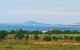 thum-m_TlsIDESAzd_1618886321.jpg