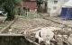 thum-m_zfpPx5S9BD_1619029210.jpg