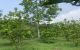 thum-7849091_3uJQrHLmpN_1619147160.jpeg