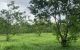 thum-7849091_4dhjyEf8iH_1619147174.jpeg