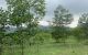 thum-7849091_NPyra8fLho_1619147169.jpeg