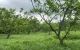 thum-7849091_RFmOVu4jLb_1619147157.jpeg