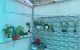 thum-7849791_9rDaebxu72_1619163783.jpg