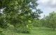 thum-m_dRyhBp7tPU_1619147152.jpeg