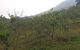thum-7852032_QOGbolZtXP_1619247302.jpg