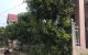 thum-7855829_We6XM9bcvY_1619412005.jpg