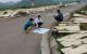 thum-7864011_RveoN0EAL8_1619686359.jpg
