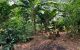 thum-7867001_G15Xwzo7J0_1619881675.jpg