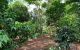 thum-7867001_dOmYSwtFIu_1619881671.jpg