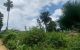 thum-7867827_Y8HQM4z1XJ_1619966574.jpg