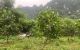 thum-7867858_39HToBtVR0_1619969967.jpg