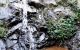 thum-7870097_0HLvWFUDYe_1620052690.jpg