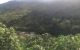 thum-7870210_UW37utPrwE_1620056580.jpg