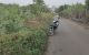 thum-7872030_pF6T07k1xs_1620117666.jpg