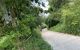 thum-7872200_CKSX3wIlFs_1620120881.jpg