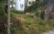 thum-m_FAvr3JQTnK_1620097346.jpg
