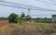 thum-m_FMz7J3i56x_1620380733.jpg