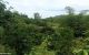 thum-7881072_xBkV4SXeb9_1620438485.jpg