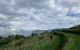thum-7882211_XgbCnMTR2I_1620460996.jpg