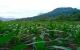 thum-7884859_hqPJDYBGrv_1620574056.jpeg
