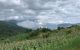 thum-7885573_zApOKlkQNf_1620615388.jpg
