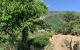 thum-m_Cp3dOWYPaD_1620616432.jpg