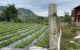 thum-m_xPhTAwzjmb_1620615642.jpg