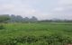 thum-7889690_u9FrtJpbcS_1620750028.jpeg