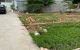 thum-m_HA7ROTplPc_1620708630.jpg