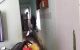 thum-7891320_B6j3wysxYQ_1620804630.jpg