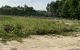 thum-m_RkyQ5mK8oq_1620805085.jpg